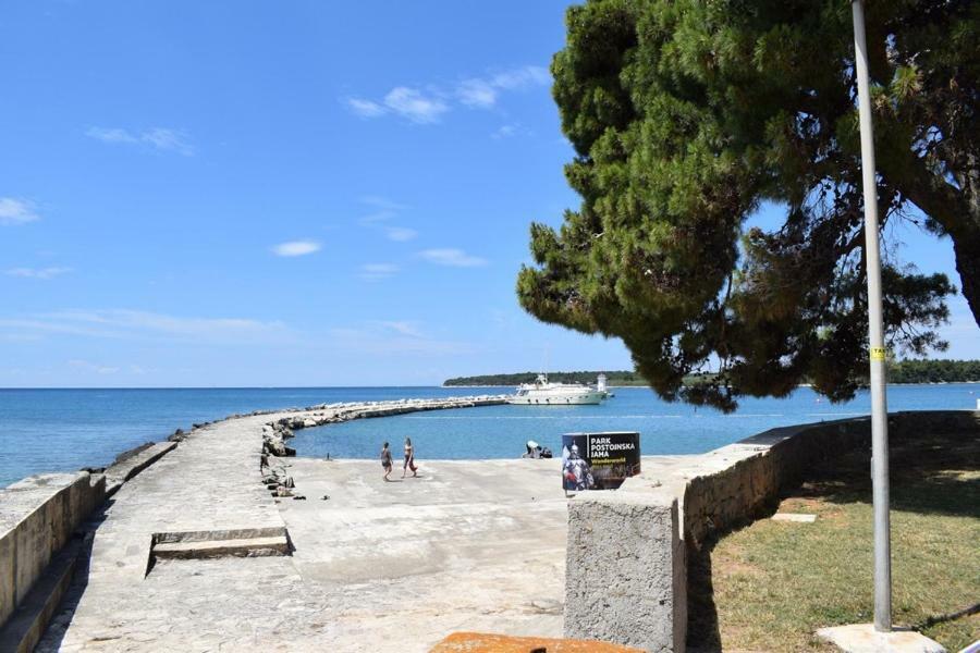 Apartment Matea Novigrad Istria Exteriör bild